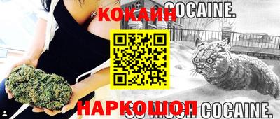 гашик Янаул