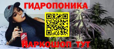 гашик Янаул