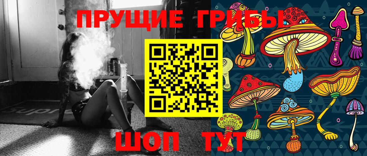 Галлюциногенные грибы Psilocybe  Вход с VPN  Псилоцибиновые грибы мухоморы  Жуковский 