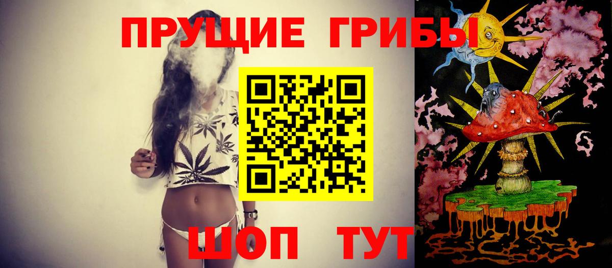 Галлюциногенные грибы Psilocybe Жуковский